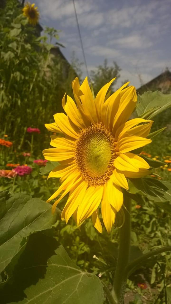 Ojakh Dilijan Esterno foto