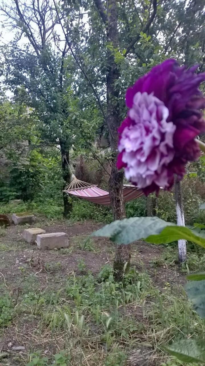Ojakh Dilijan Esterno foto